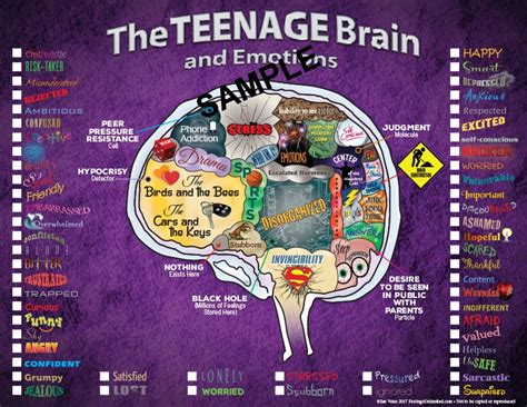 The Teenage Brain Feelings Unlimited