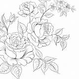 Roses Bunch Bouquet Drawing Background Vector Illustration Getdrawings sketch template
