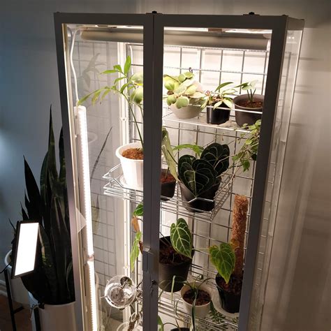 ikea greenhouse cabinet mods house plant journal