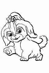 Tzu Shih Colorear Mascotas Secreta Kleurplaat Raskrasil Animali Meerschweinchen Gidget Haustiere sketch template