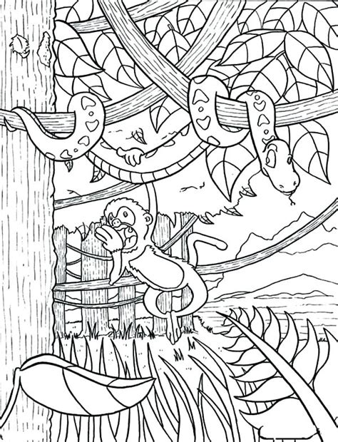 tropical rainforest animals coloring pages  getdrawings