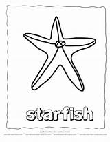 Coloring Starfish Pages Comments Coloringhome sketch template
