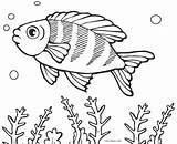 Ausmalbilder Colorare Peces Pez Fisch Pesciolini Fische Getdrawings Pesce Pesci Infantiles sketch template