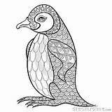 Coloring Penguin Pages Zentangle Adult Adults Stress Books Anti Illustartion King Tattoos Colouring Mandala Sheets Book Details High Dreamstime Adu sketch template