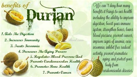 Top 11 Health Benefits Of Durian