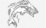 Bass Fish Outline Jumping Water Largemouth Clipart Clip Transparent Cliparts Drawing Pages Coloring Fishing Svg Mouth Big Library Silhouette Easy sketch template