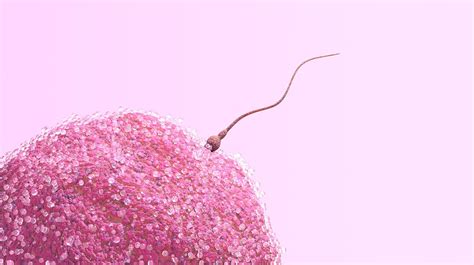 12 widely believed sperm facts that are actually false