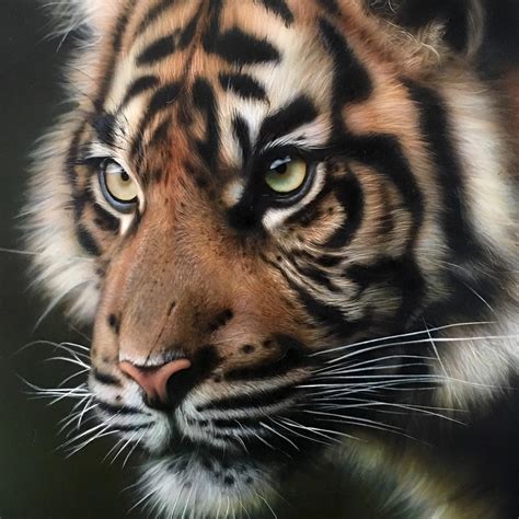artist creates life  animal portraits     feel