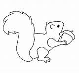 Squirrel Coloring Color Ardilla Colorear Coloringcrew Pages Print Book sketch template