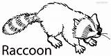 Raccoon Coloring Pages Printable Cool2bkids Everfreecoloring sketch template