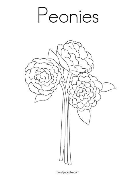 peonies coloring page twisty noodle