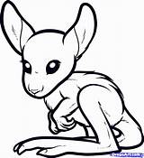 Kangaroo Coloring Pages Kids Baby Draw Cute Drawings Animals Colouring Comments Step Popular Coloringhome sketch template