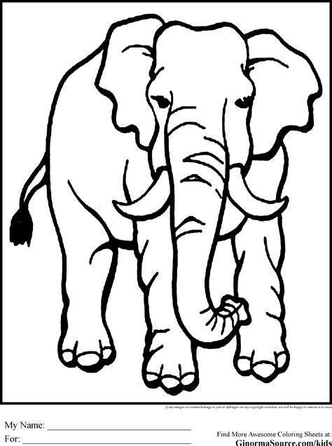 nice photograph african animals coloring pages  kids