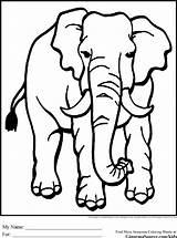 Animals Coloring Pages Endangered Kids Animal Drawing Elephant Para Colorear Clipart Elefantes Jungle Printable African Templates Color Cartoon Easy Savanna sketch template