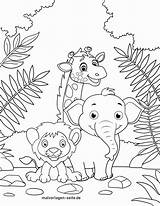 Malvorlage Ausmalen Zootiere Wildtiere Ausmalbild Tieren Tolle Urwald Kuh Pdf sketch template