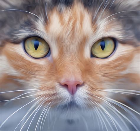 realistic cat face design vector  vector  encapsulated postscript