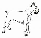 Boxer Dog Coloring Pages Hideous Boxers Print Sketch Template Search Button Using sketch template
