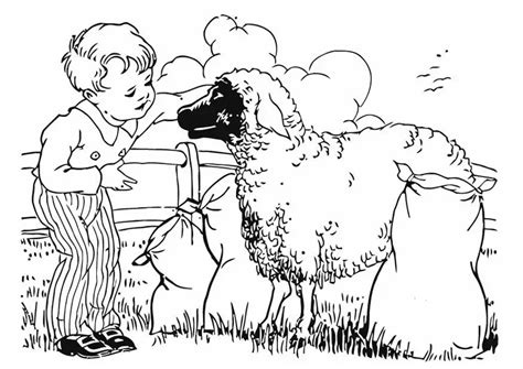 coloring page boy  sheep  printable coloring pages img
