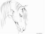 Horse Head Coloring Pages Print Realistic Color Getdrawings Printable Getcolorings Colorings Olegratiy sketch template