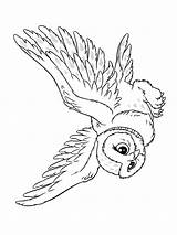 Hedwig Slytherin Snowy Paradijs Ausmalbilder Ausmalen Kiezen sketch template