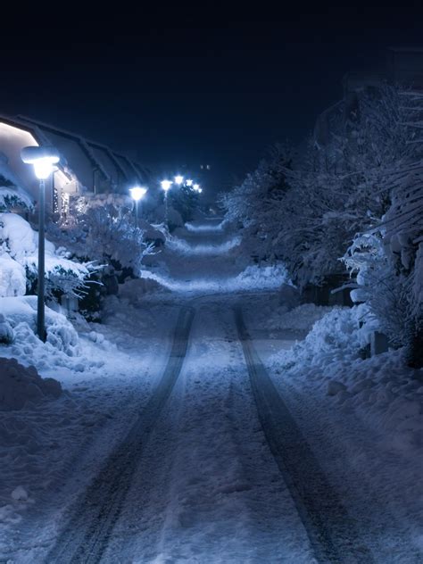 winter night   photo  freeimages