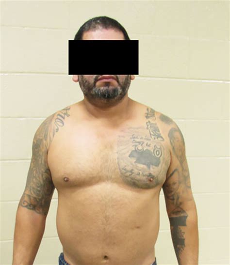 gulf cartel member and criminal migrants arrested at the