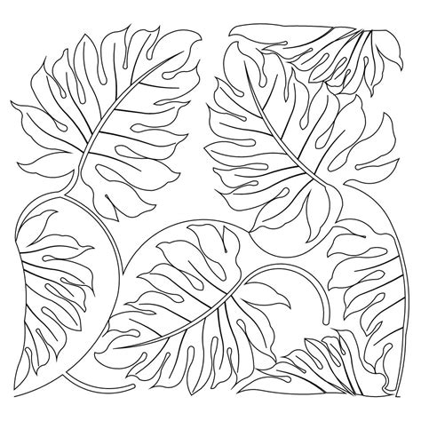 jungle leaves coloring page leaf coloring page
