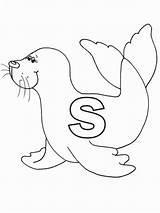 Seal Bulk Doghousemusic sketch template