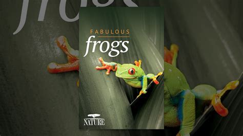 fabulous frogs youtube