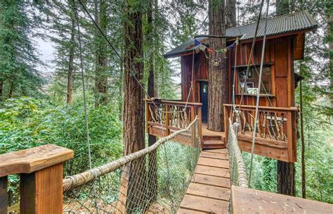amazing treehouse airbnbs worth  drive  los angeles   places  stay  la