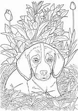 Coloring Dog Pages Dogs Adult Cats Book Realistic Puppy Sheets Cat Animal Printable Lovable Dover Publications Adults Para Color Flower sketch template