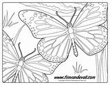 Butterfly Coloring Monarch Printable Use Educational Prohibited Commercial Personal Only Timvandevall sketch template