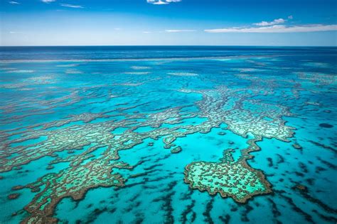 great barrier reef marine park official ganp park page
