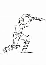 Cricket sketch template