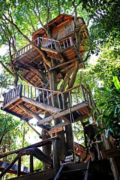 treehouse   rabeang pasak chiangmai treehouse resort  northern thailand wwwfacebook