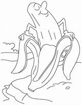Banana Banane Colorat Planse Casca Saindo Bestcoloringpages Ale şi Să Damasco Ro Ausmalbilder Desenat Tudodesenhos Copiilor Fructele Preferate Jucăm Printre sketch template