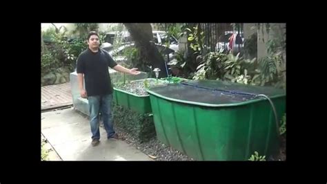 aquaponics philippines  cascade system