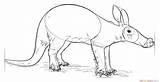 Aardvark Draw Drawing Step sketch template