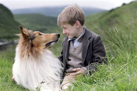watch lassie full movie on fmovies to