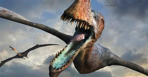 flying pterosaurs   big    study finds huffpost uk