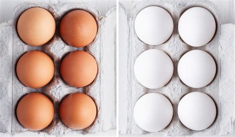 brown eggs  white eggs thrive market