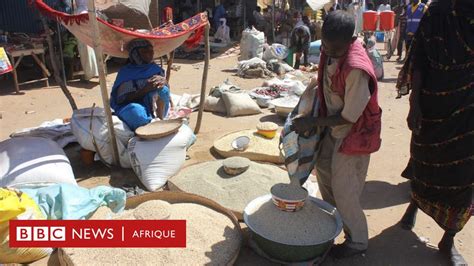 tchad les ravages de la faim bbc news afrique