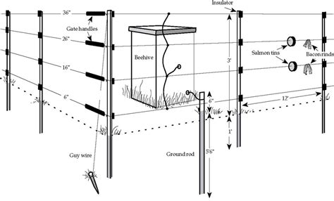 diagram  electrical fencing   apiary  scientific diagram
