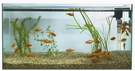 aquarium basics types  filtration systems