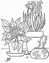 Colorear Macetas Flowerpot Bordar Malvorlagen Picasaweb sketch template