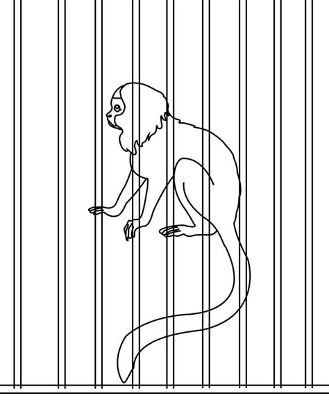 printable zoo coloring page  printable coloring pages  kids