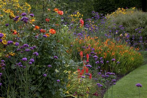 garden borders  ideas  planting schemes real homes