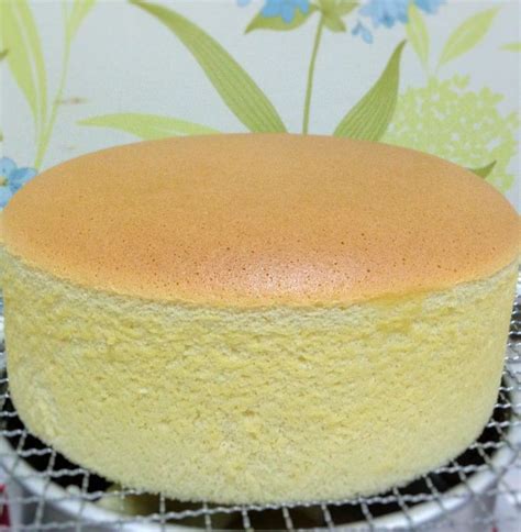 Cheese Sponge Cake With Images Cheesecake Cake Recipes