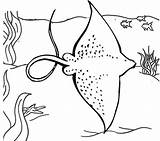 Stingray Coloring Pages Ocean Sea Big Kids Animal Ray sketch template