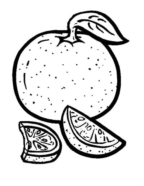 orange fruits coloring pages food coloring pages ikids coloring home